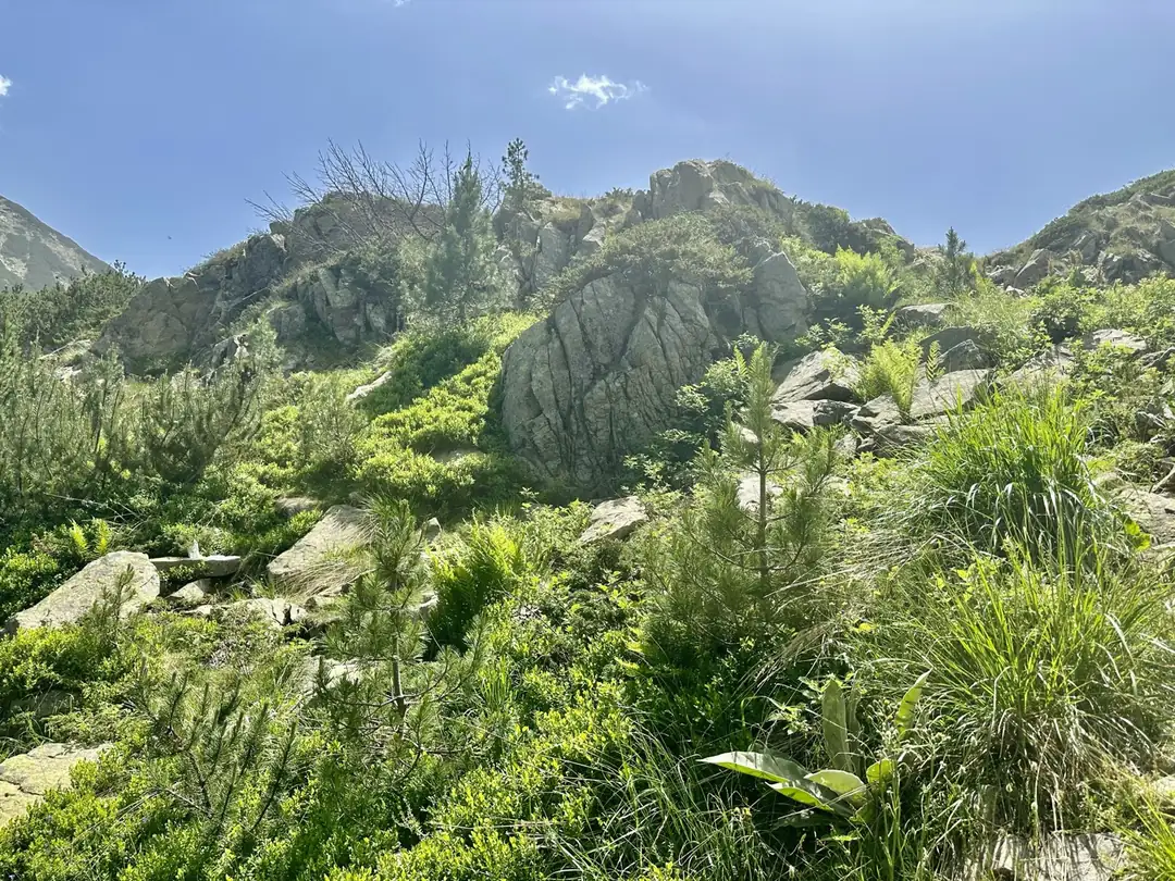 Rocky alpine terrain and green scrub high above the treeline in the Pirin mountains near Bansko